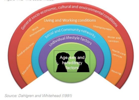 Understanding General Culture: A Comprehensive Guide to Latest Trends